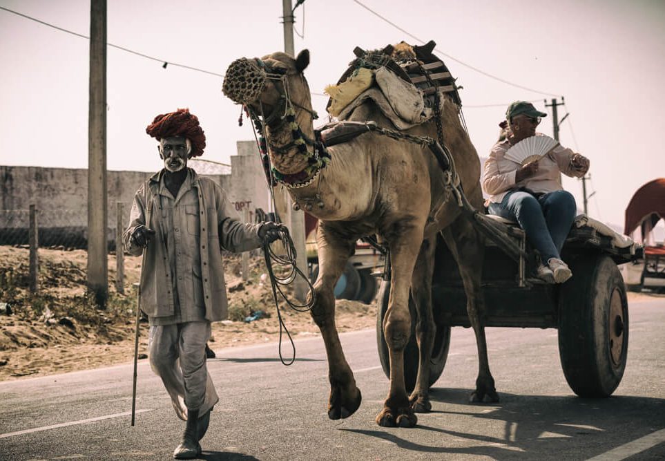 pushkar camel fair images photomentor