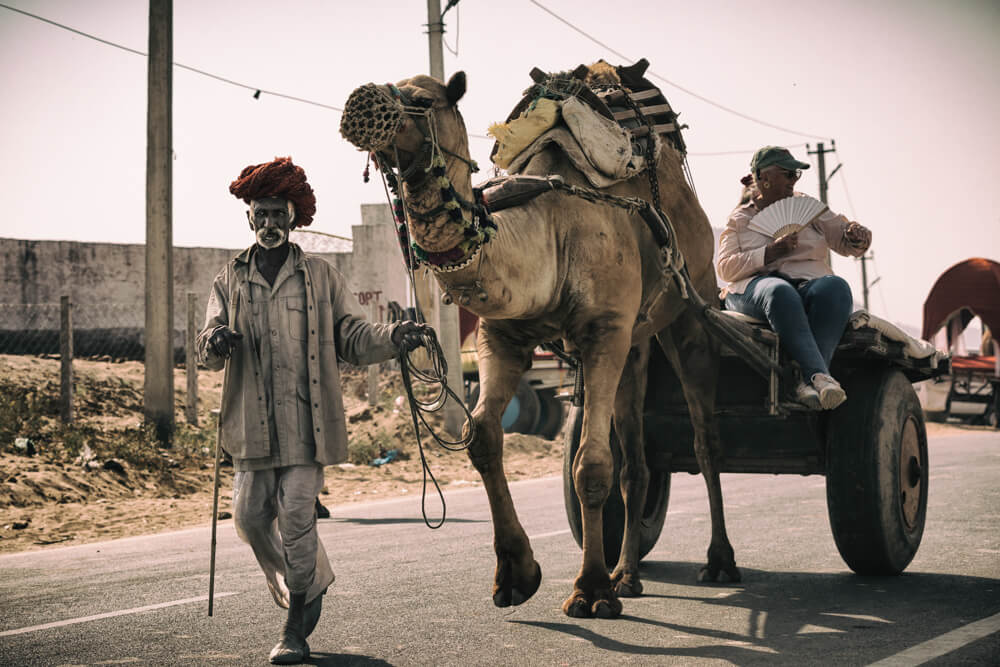 pushkar-camel-fair-images-photomentor