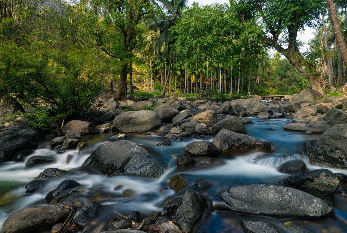 cascade always take the scenic route abiraj tamilnadu creativehut