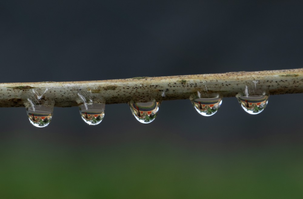 focus stacking drop house abiraj tamilnadu creativehut