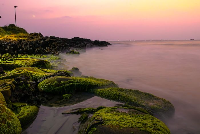 varkala a scenic view from varkala beach abiraj tamilnadu