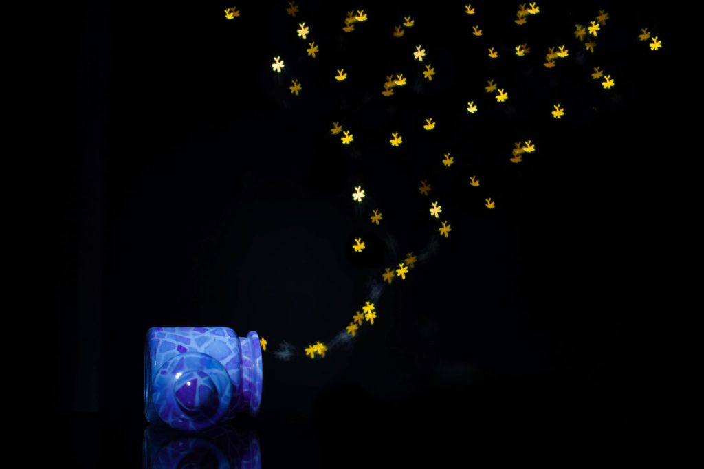 fireflies tiny messengers whisper in the dark sweta west bengal creativehut