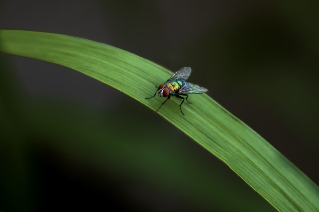 garden guest a moment of floor serenity harikrishnanv alappuzha creativehut