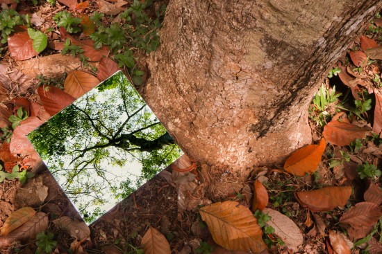 reflection a small piece of peace sweta west bengal creativehut