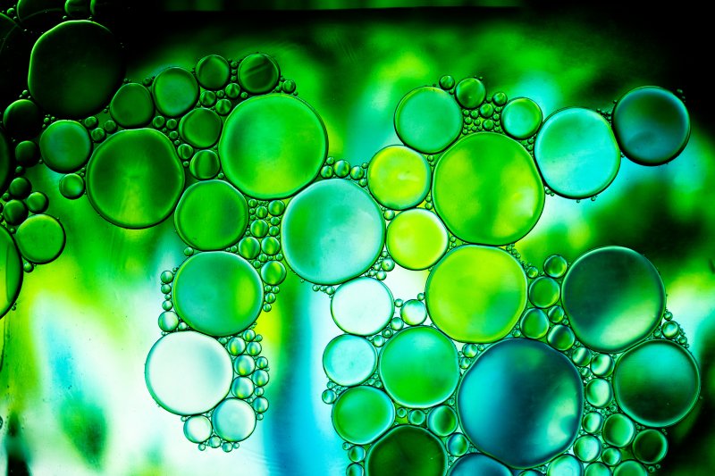 the  green  cell  a  view  of- oil  floting on- water -seems -like a microscopic  view sanal thrissur creativehut