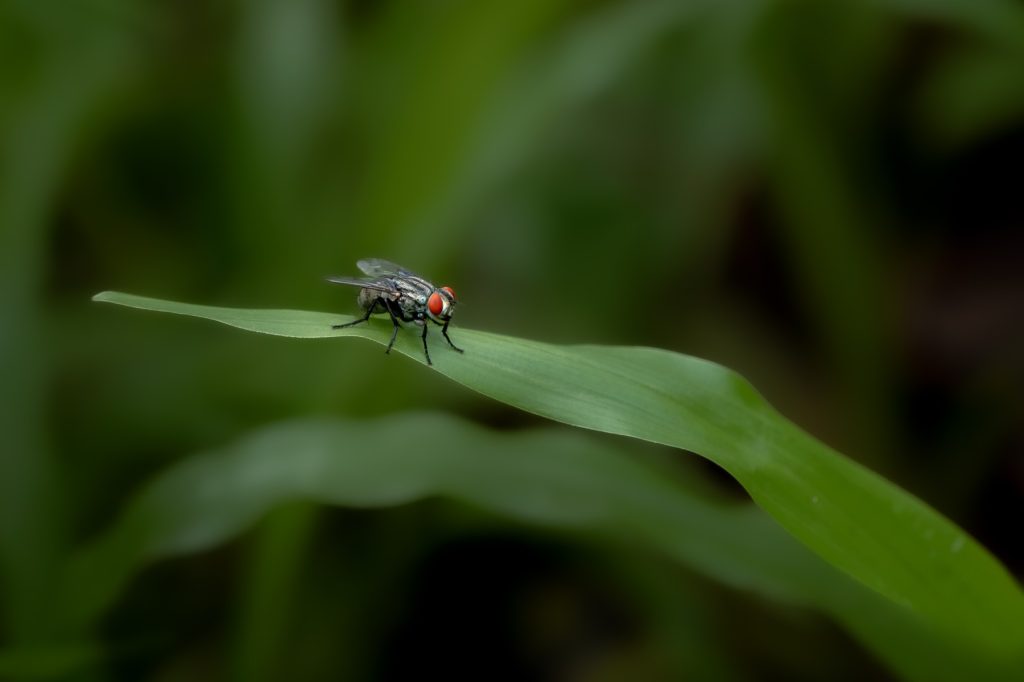 tiny perch a tranquil beat in natures rhythm harikrishnanv alappuzha creativehut