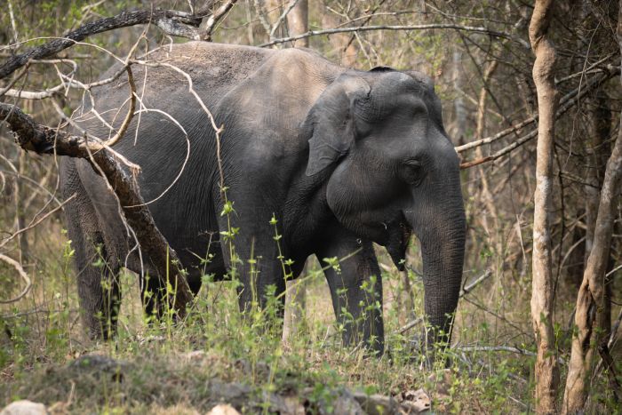 Tusker: I drink 40 Litres of Water a day.