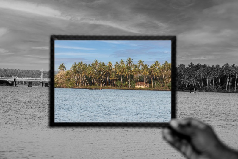 water and coconut trees inside the frame