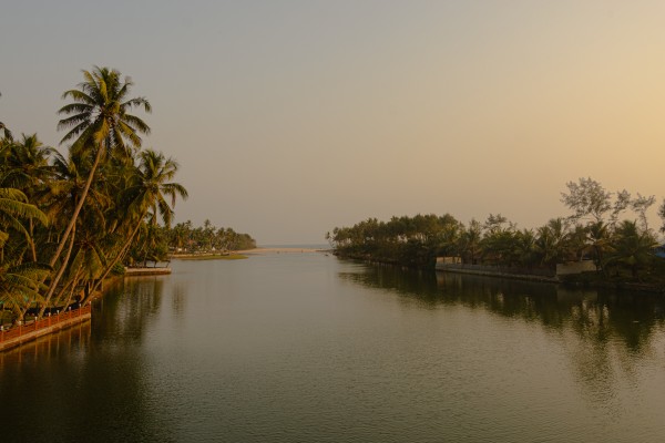 river with trees in both sides