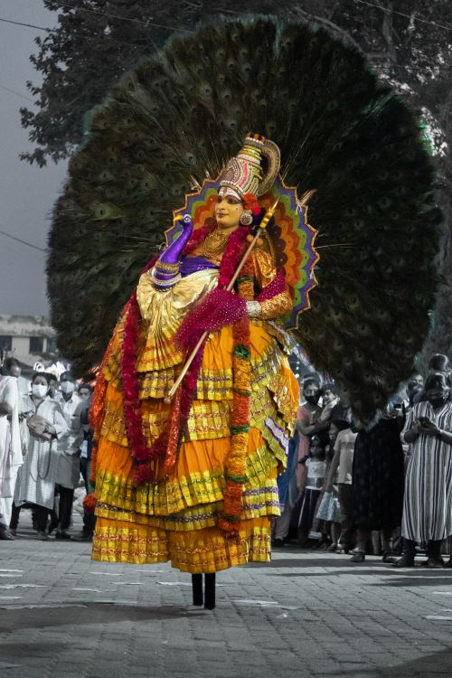 artist person setting peacock leaves in back waering yellow dress