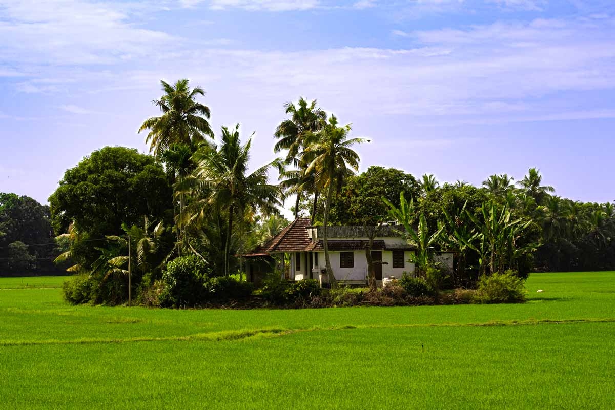 House in between of sky and Farm land