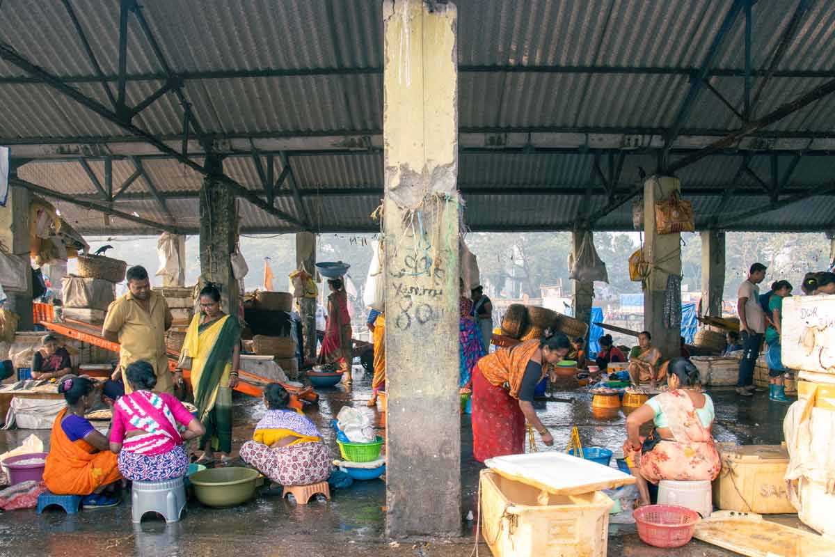 women selling fishes in the mart