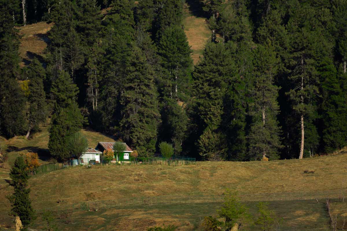 lonely house