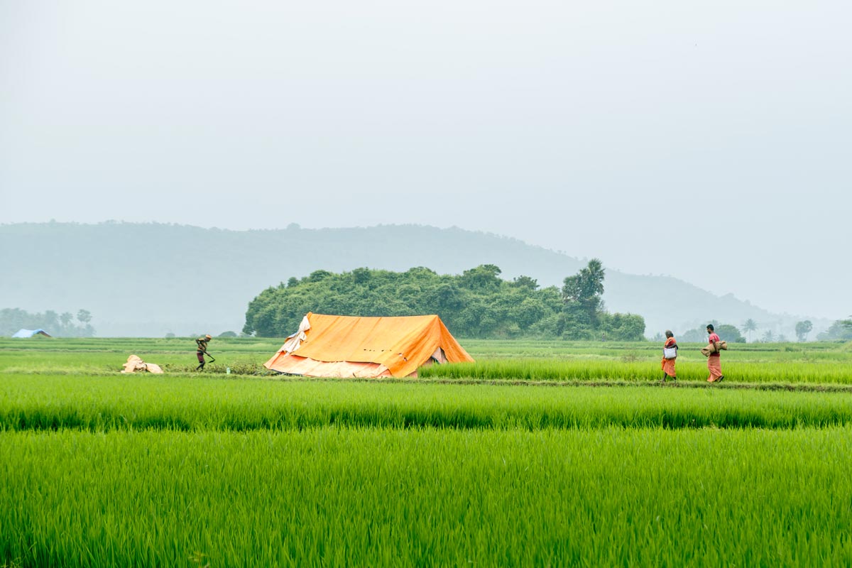 A tent in green fields