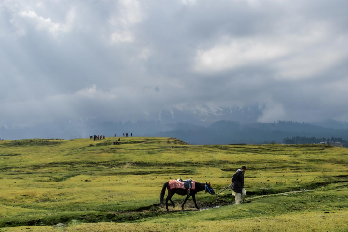 Man alone with the horse in Kashmir