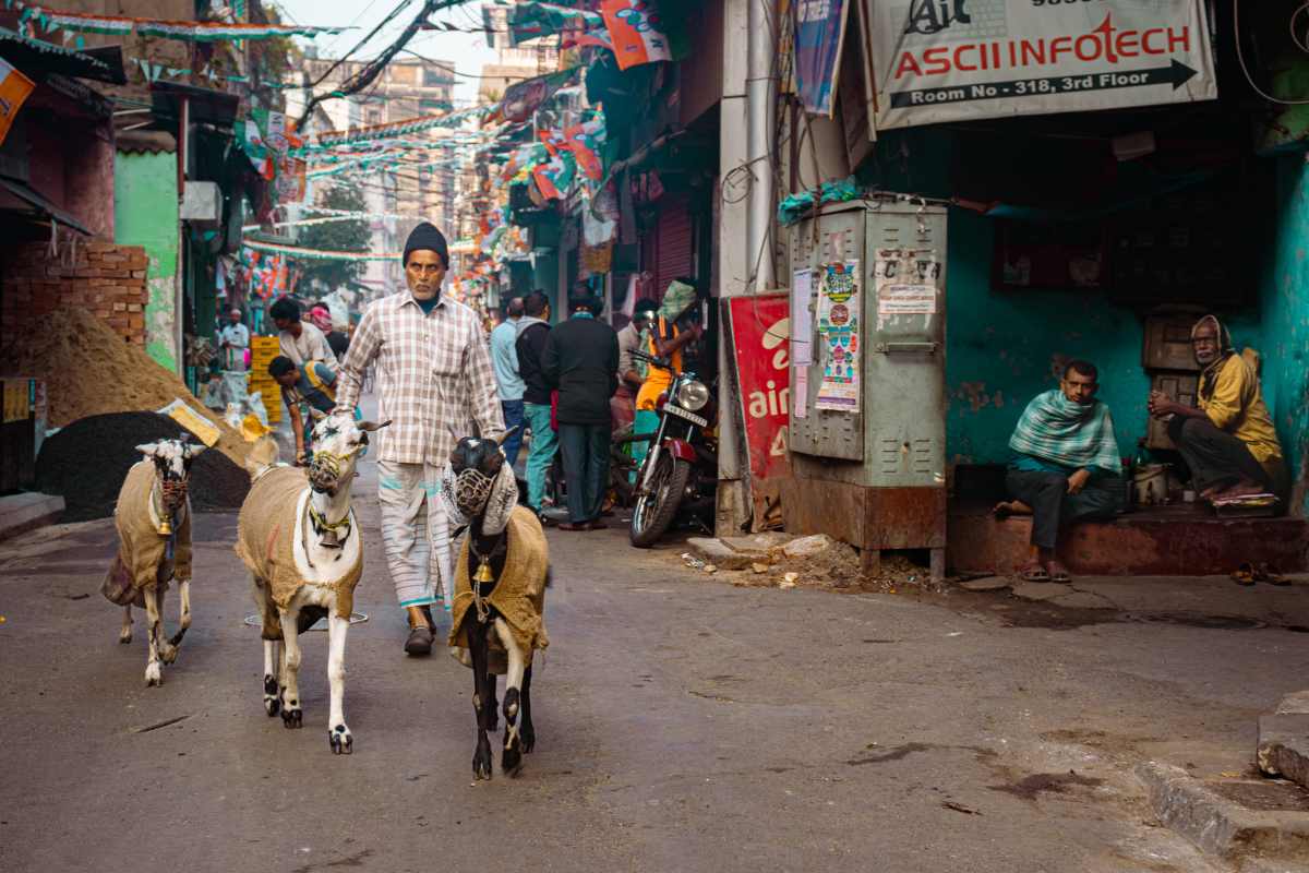 kolkata Morning Photography