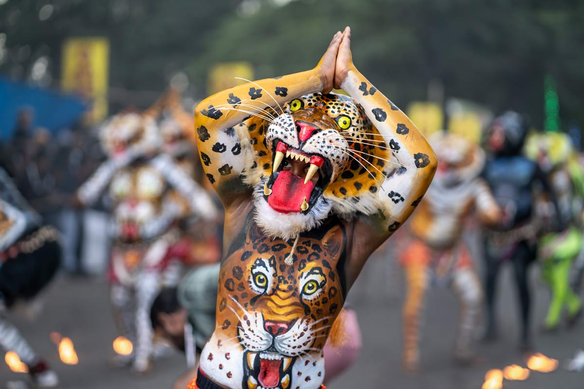 painted tiger shows a pose towards the frame