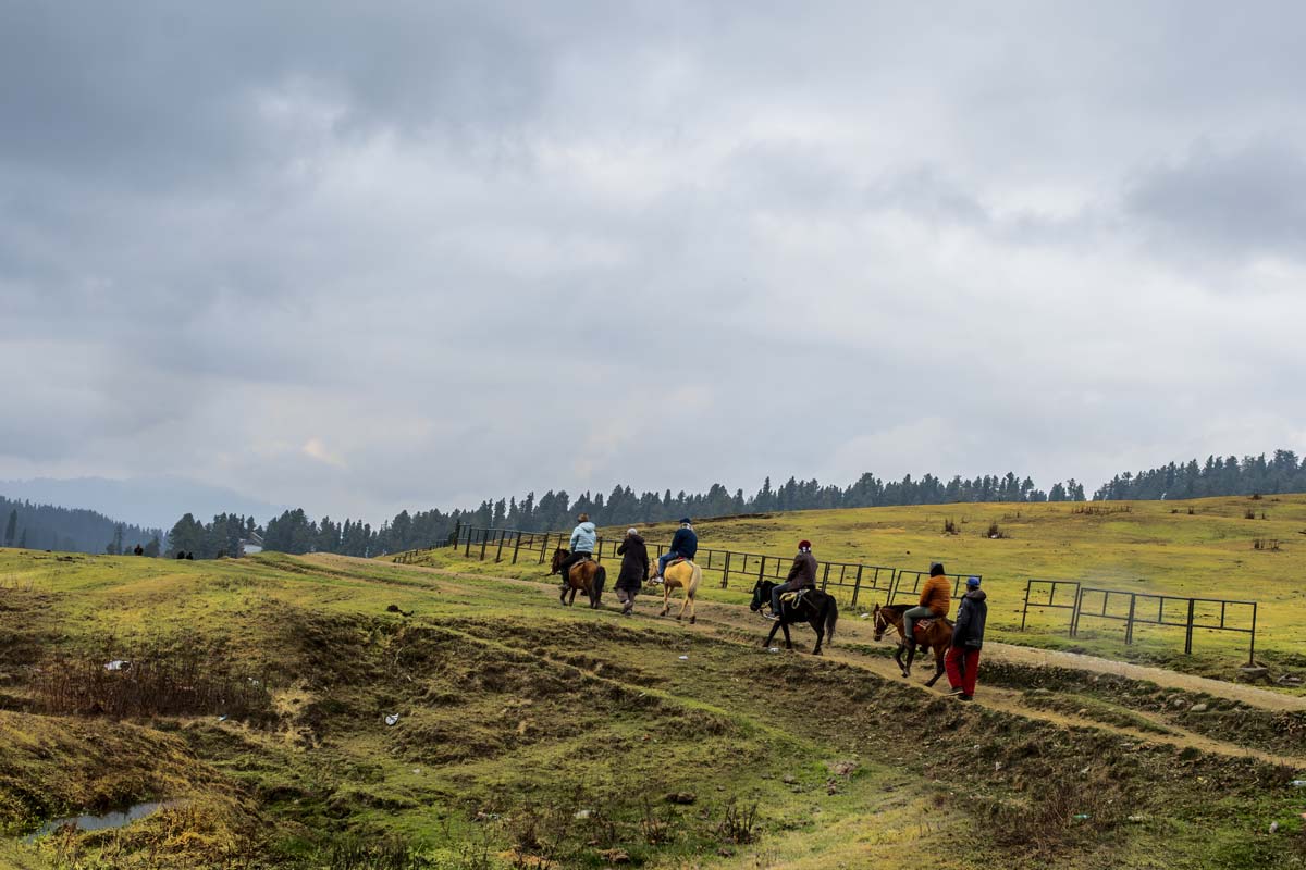 Horse riding in Kashmir