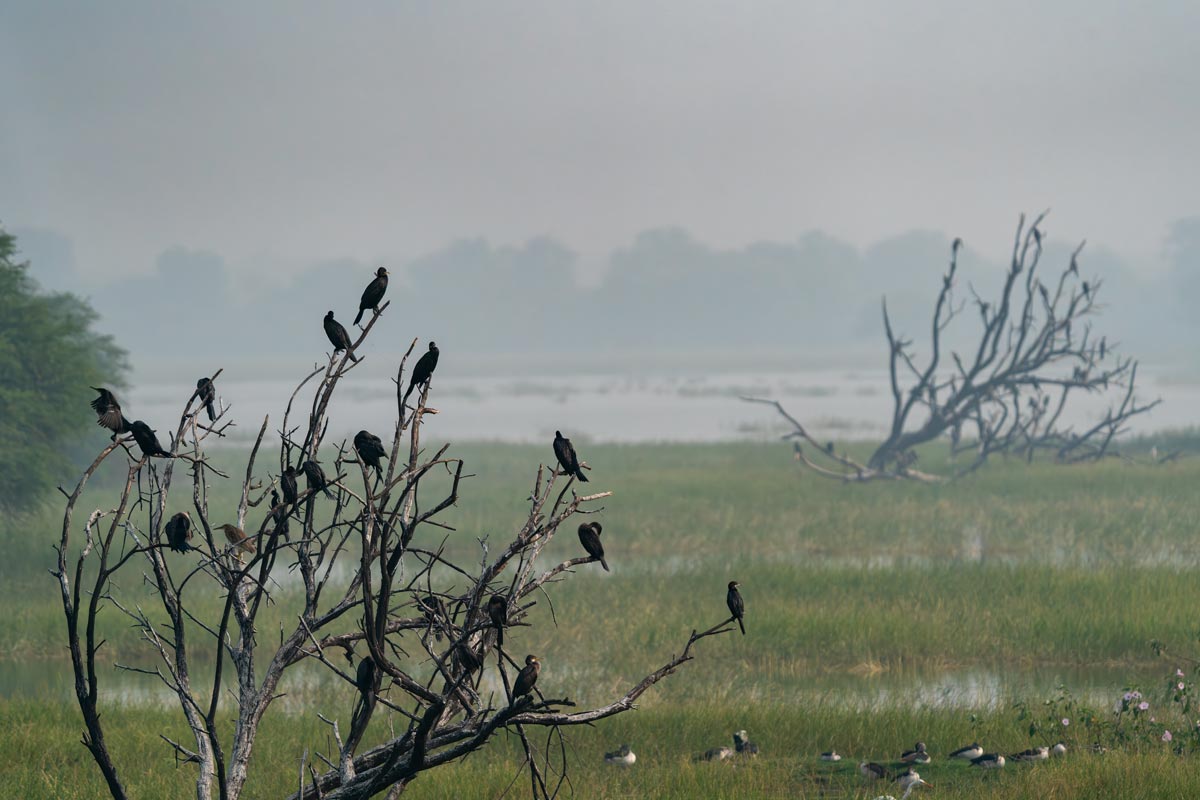 Foggy Fantasy Kavya Ahmedabad Gujarat Creative Hut