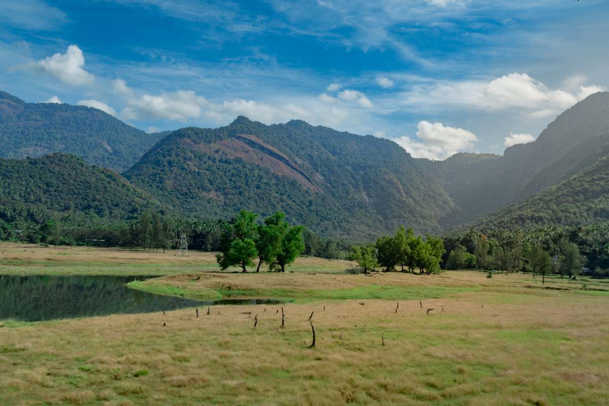 Mountains of Thonikkadavu.