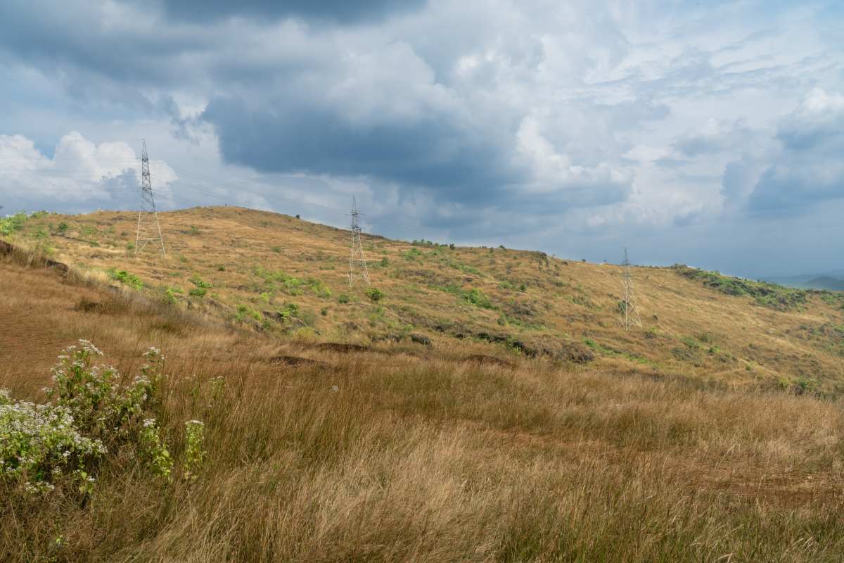 Mountain areas of Pokkunnu.