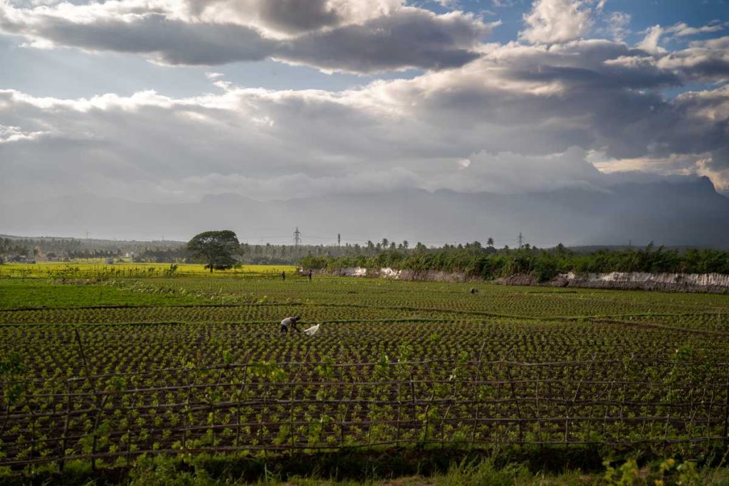 Farmland with cloudy sky backdrop.