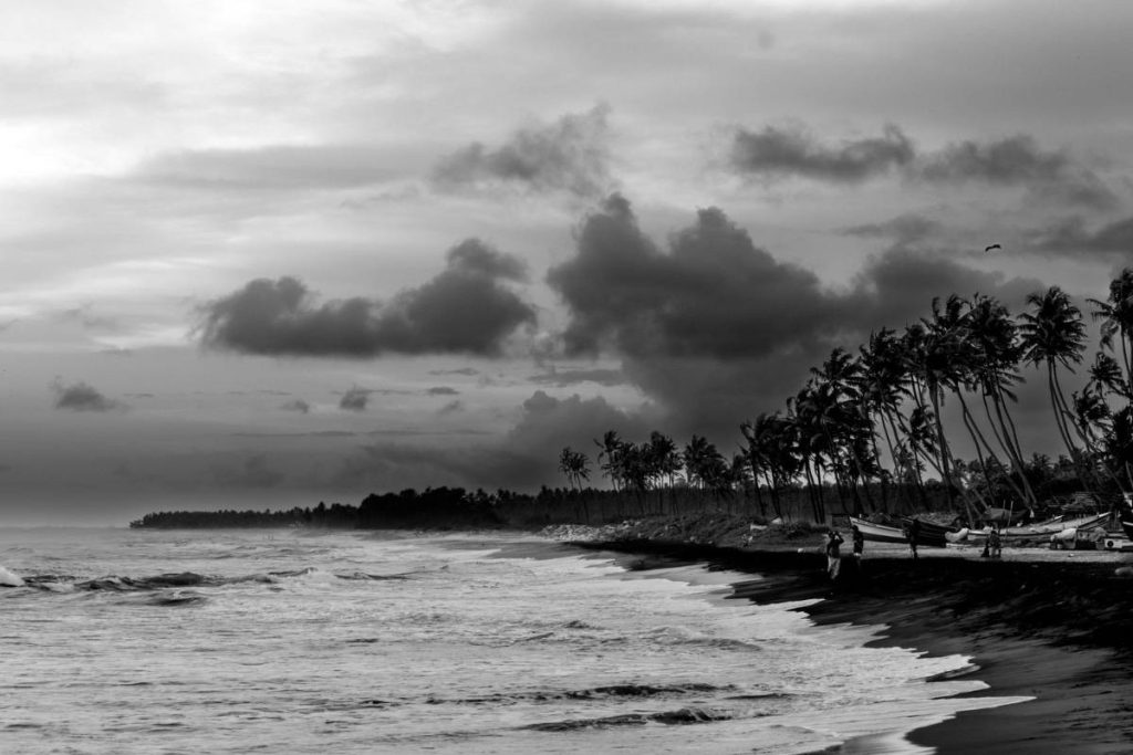  A seascape where the ocean and shore meet.