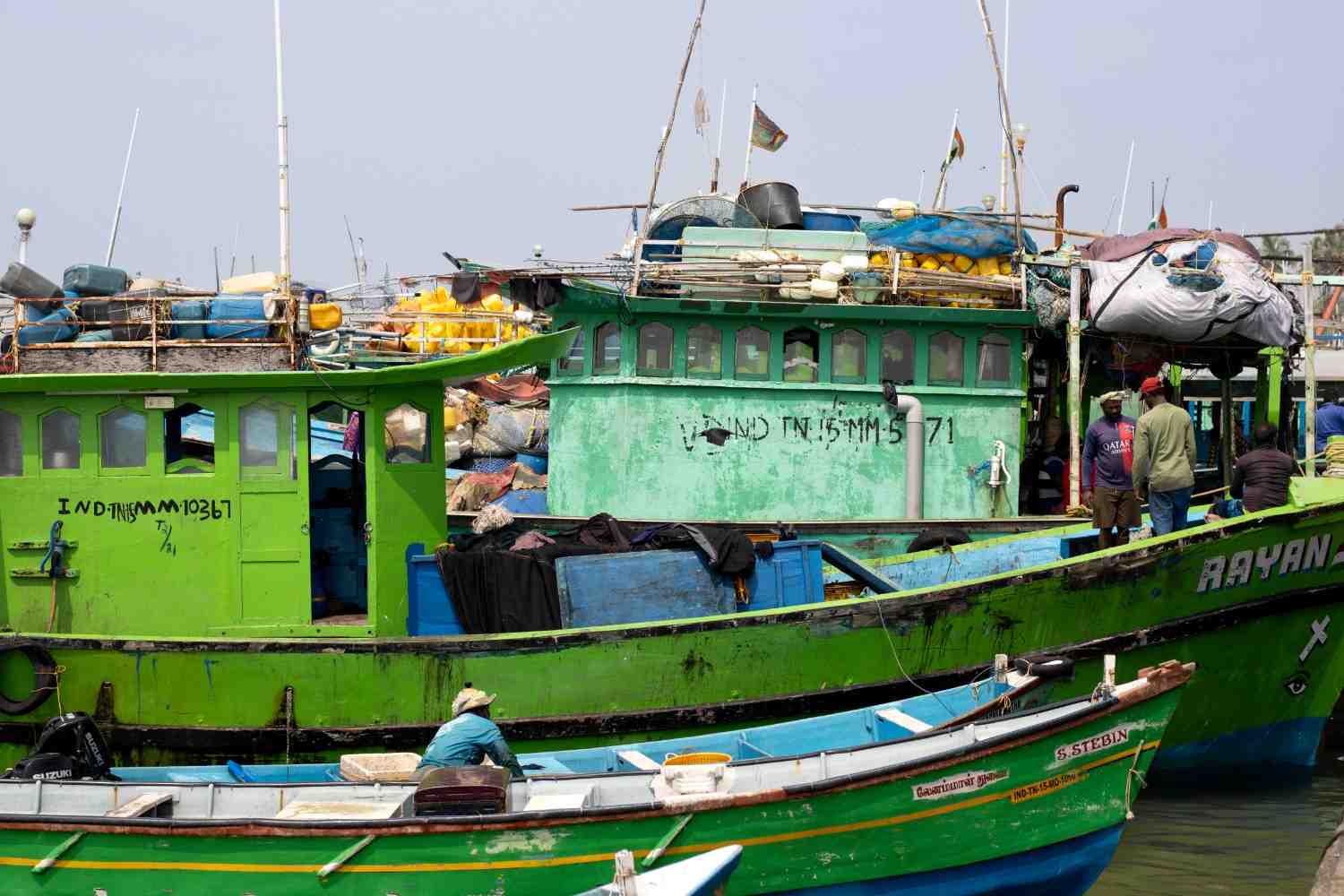 Boats are docked up on the shore.