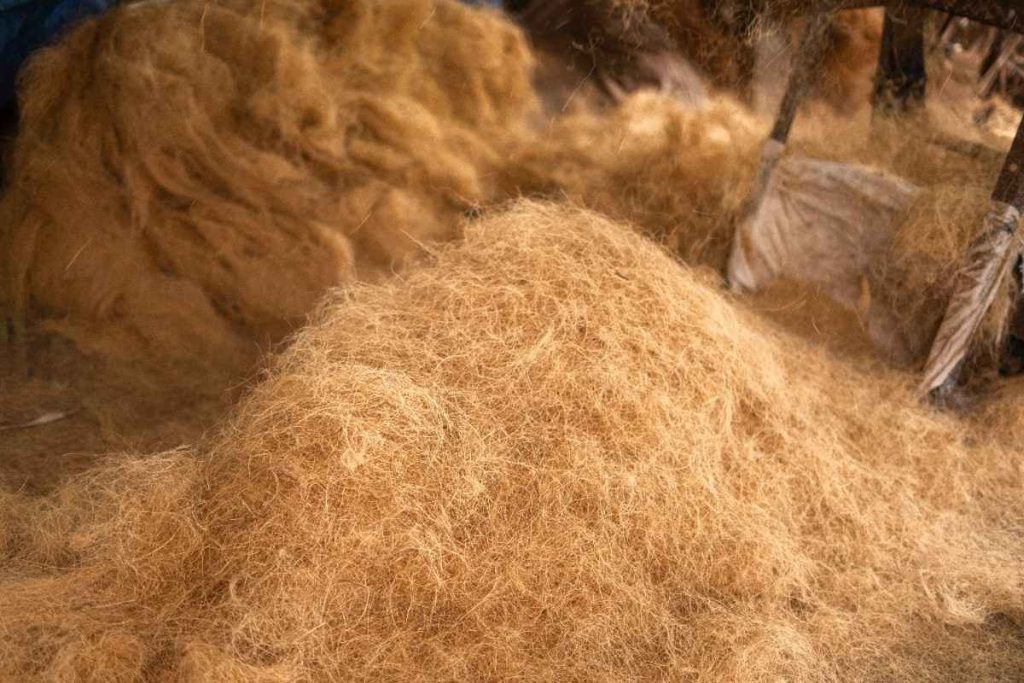 Raw Coir Fiber : A heap of golden-brown raw coir fiber in a workshop.