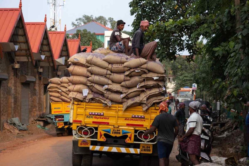 Rice Export