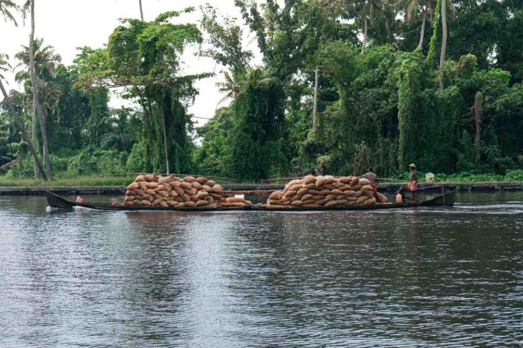 Backwater Journey : A boat carrying large sacks of rice through Kerala's backwaters.