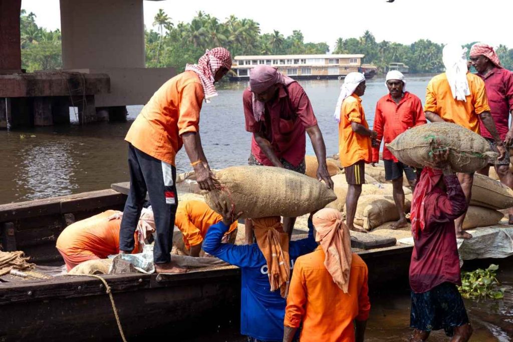 Paddy Transfer Workers unloading paddy sacks from a boat.