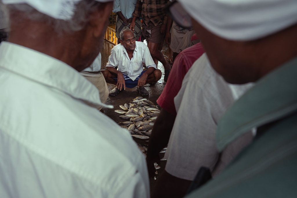 The auction of the fish.