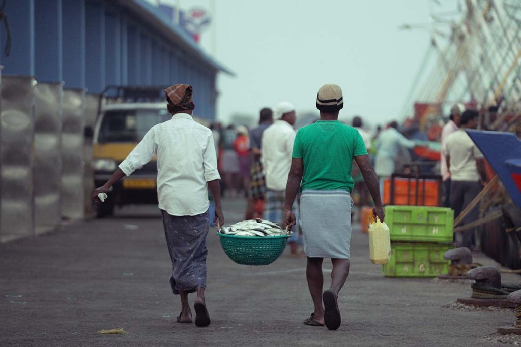 Fishermen dispatching their catch.