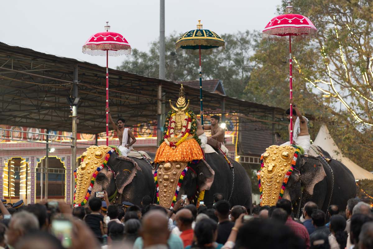 A Divine Procession on an elephant in a ceremonial procession.