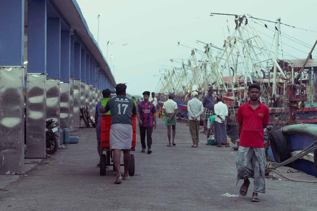 Fishermen deliver the fish to the dockside on a trolley.