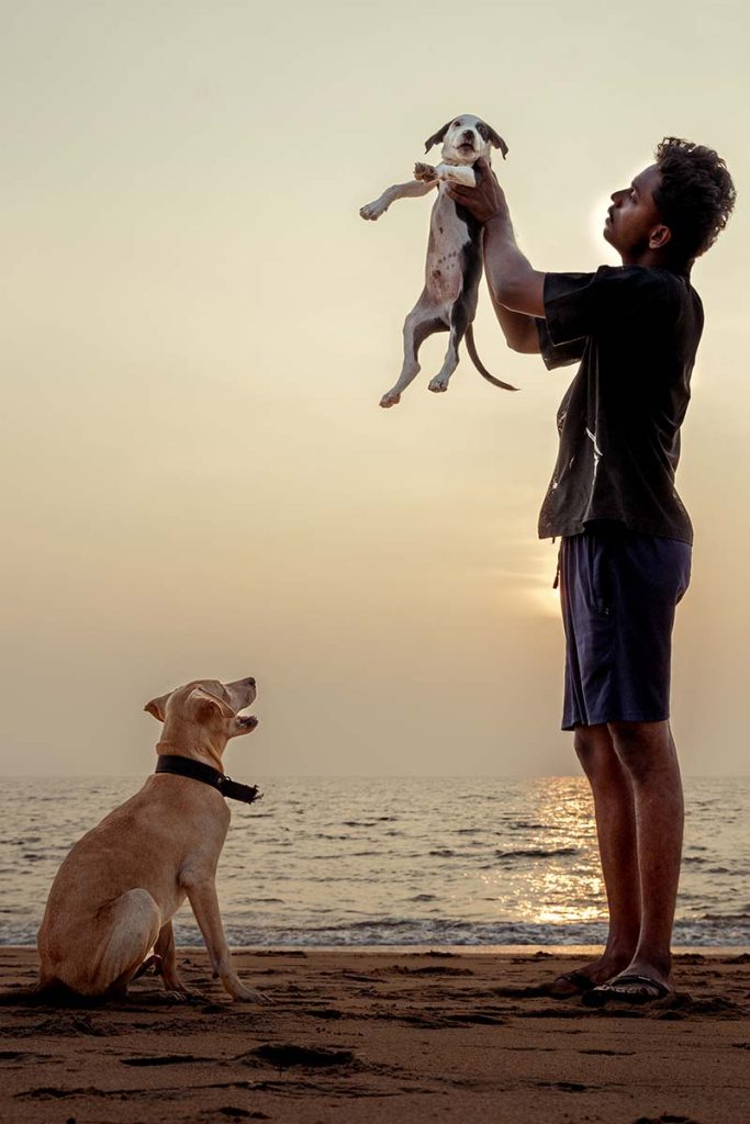 The family of two dogs and its owner runs happily through the sand.