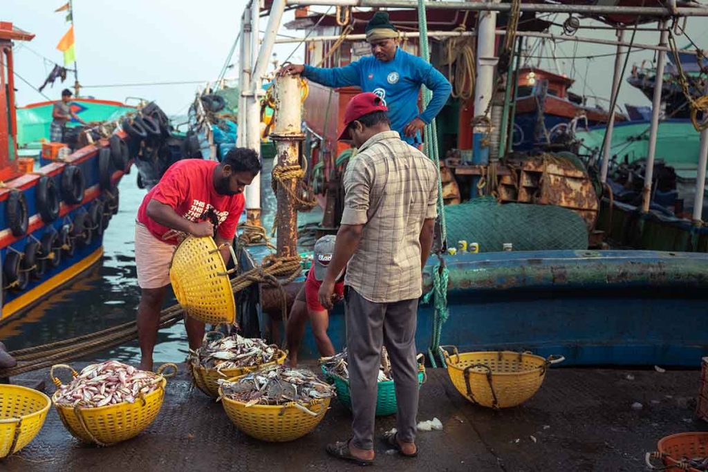 Fishermen filling up the baskets.