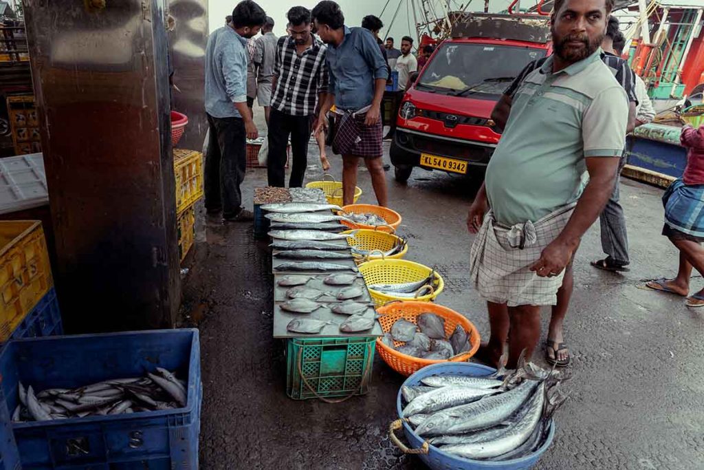 The fishes are displayed for selling