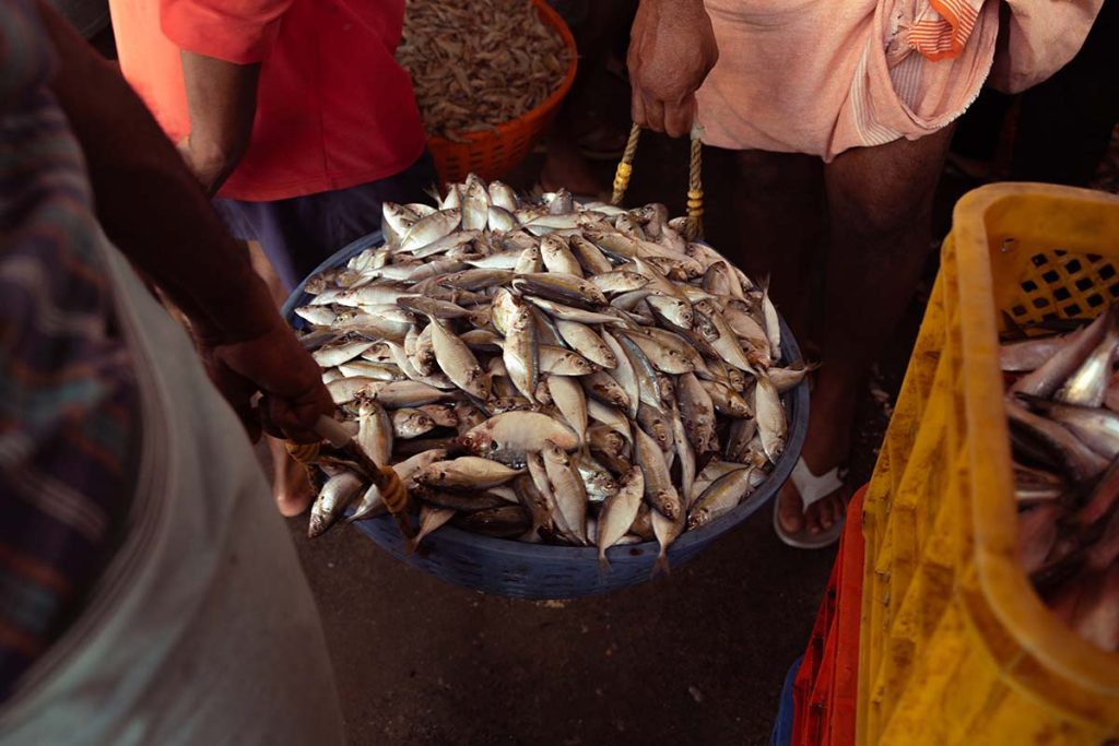 Trading of fish in baskets by fishermen.