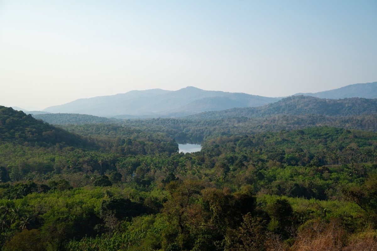 A landscape showing lush haven