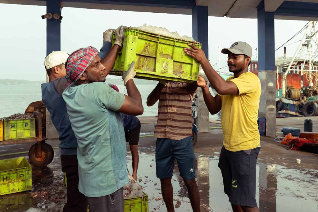 People handling the box of fish.