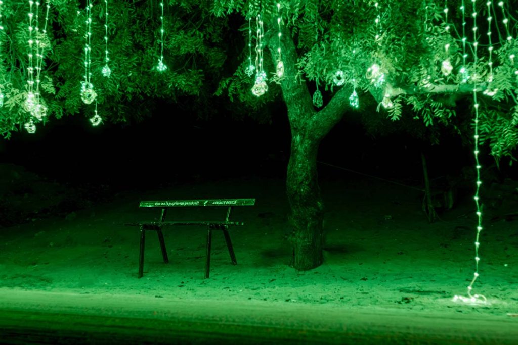 
Holiday Charm A lonely bench under lights.