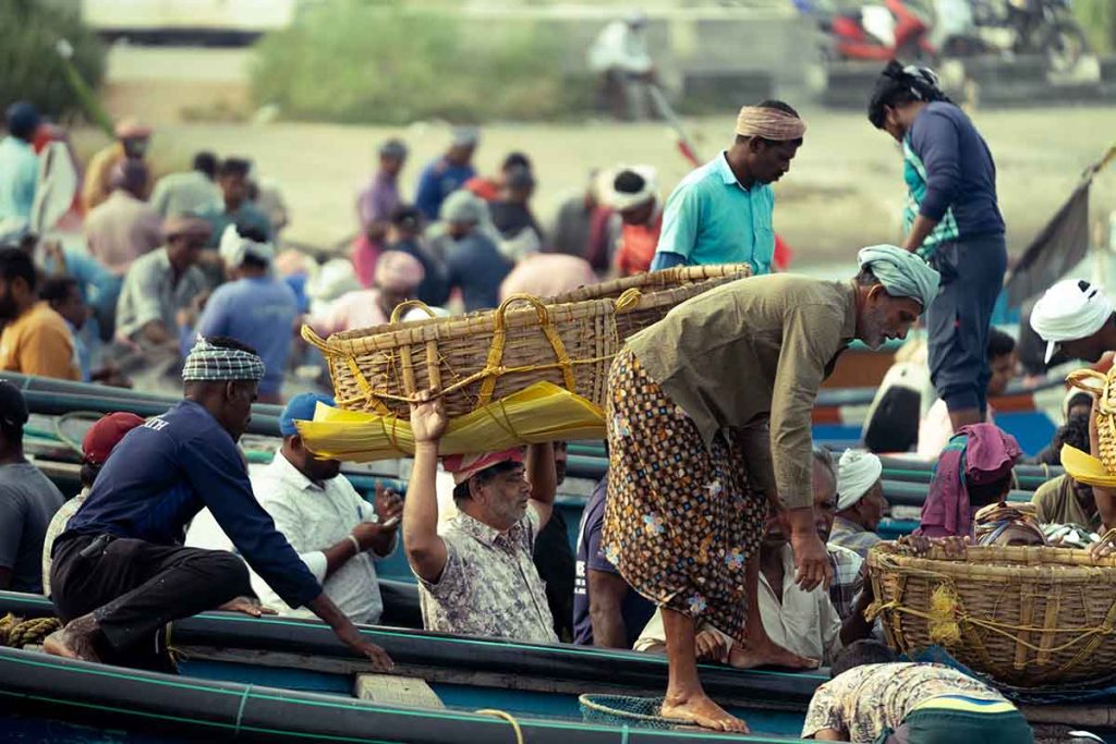 The hustle of fishermen gathered with baskets to get the fish.