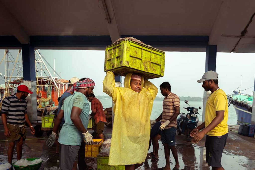 A worker lifting the fish box.