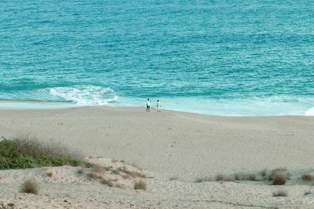  Open Dialogue Two friends by the sea.