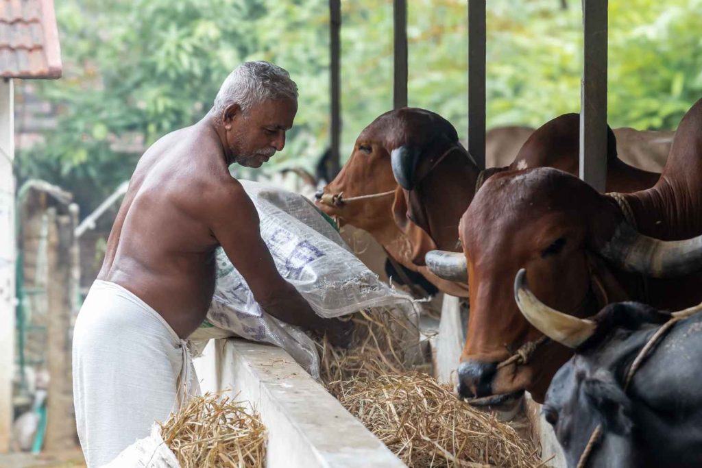 A farmer's hands, embodying care and nurturing life