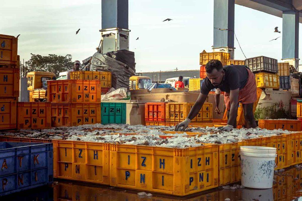 The worker is arranging the boxes of fish with ice and is ready to go.