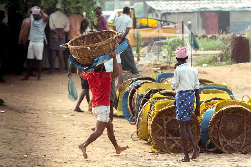 The fishermen returned with an empty basket.