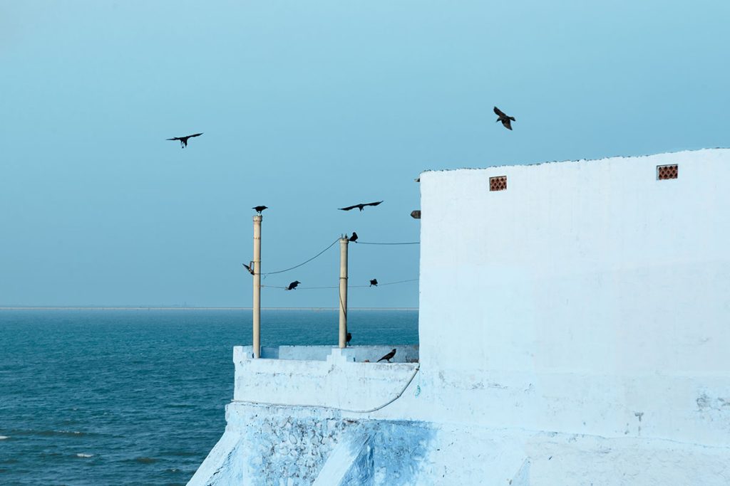 Rooftop Refuge 